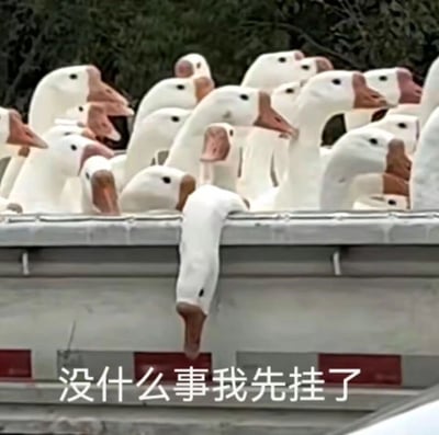 一辆卡车的货斗里挤满了白色的鹅，其中一只鹅的脖子从卡车边缘垂下来，姿态像是'挂'在那里。图片底部配有文字'没什么事我先挂了'，利用'挂'字的双关（挂断电话/悬挂）制造幽默效果。