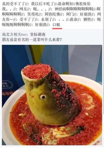 图片上半部分是密集的崩溃语录，如“真的受不了了”“救命啊扣1佛祖保佑”“笑得死”“好崩溃”等，充满夸张的情绪表达；中间是“南北方相关bot”的提问：“坐标湖南 朋友说是有名的一道菜叫什么来着？”；下半部分是一张剁椒鱼头的照片，整个鱼头被鲜红的剁椒覆盖，汤汁也是红色，视觉冲击力强。整体内容通过网友对超辣湖南菜的夸张反应制造笑点，展现了南方饮食中“辣”的冲击力。