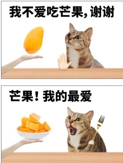 这是一张上下拼接的对比梗图，分为两个场景：
1. 上半部分：一只狸花猫被P上人手，伸出手做出拒绝姿态，配文“我不爱吃芒果，谢谢”，对面的手托着一整个完整芒果递向它，猫咪表情带着抗拒。
2. 下半部分：同样的狸花猫被P上握着叉子的手，张大嘴巴，眼神兴奋期待，配文“芒果！我的最爱”，对面的手端着一碗切好的芒果块。
这张图通过强烈的态度反差，调侃了现实中很多人“懒得动手处理食材，但对处理好的食物毫无抵抗力”的真实日常，搞笑又接地气，没有双关、谐音梗等内容。