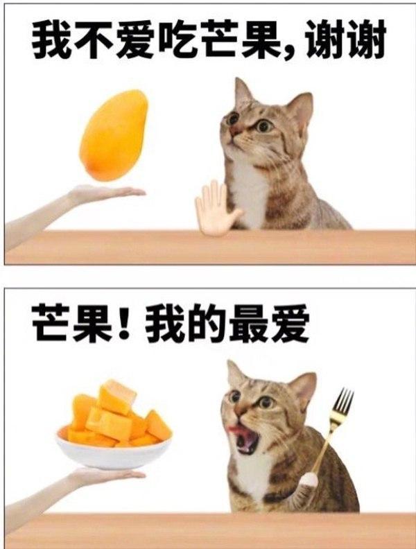 Mur猫