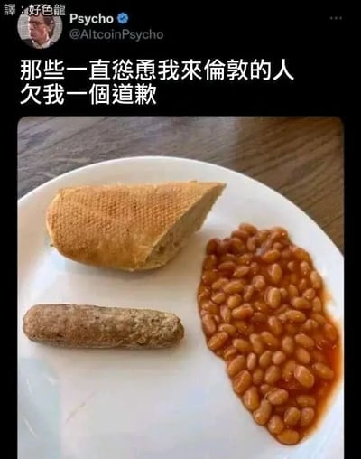 这是一张X（原Twitter）平台的社交媒体截图，截图左上角显示发帖用户的账号为Psycho，账号ID为@AltcoinPsycho，还有译者标注“译:好色龙”。截图的核心内容是用户发布的吐槽文字“那些一直怂恿我来伦敦的人欠我一个道歉”，并搭配了一张餐食照片：白色盘子里装着一块切了一半的面包、一根看起来干硬的香肠，还有一份焗豆子，这份餐食卖相普通、分量偏少，看起来十分简陋。用户通过这种图文结合的方式，幽默地表达自己被他人推荐来到伦敦后，实际吃到的餐食远低于预期的失望情绪，用夸张的吐槽制造搞笑效果。