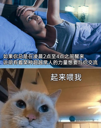 这是一张上下拼接的搞笑梗图，上图呈现了一位女性躺在床上，神情无奈地睁着眼，似乎正被凌晨早醒的问题困扰，配文刻意营造出神秘氛围，称总是在凌晨2点到4点醒来是有超越常人的力量想要交流；下图则是一只睁着大眼睛的猫咪，配文“起来喂我”，直接揭晓了凌晨醒来的真实原因，通过前后的反差感制造幽默效果，精准调侃了养猫人常被猫咪在半夜叫醒喂食的真实日常，引发养猫用户的共鸣。