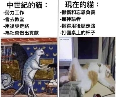 暂无描述
