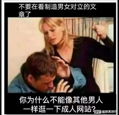 这是一张搞笑反讽梗图，上方配文“不要在看制造男女对立的文章了”，下方配文“你为什么不能像其他男人一样逛一下成人网站？”，图中是一位面露不满的女性抬手做出要打的动作，下方的男性则抬手阻拦，用荒诞的对比反讽制造男女对立的文章，暗示这类内容比成人网站更“离谱”，用搞笑的方式吐槽男女对立相关内容的荒谬。