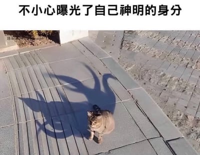 图片上方配有文字“不小心曝光了自己神明的身分”，下方是一只橘白相间的猫蹲坐在灰色的瓷砖地面上。猫咪本身姿态普通，但其投射在地面上的影子却呈现出夸张的鹿角状轮廓，宛如神话中的神明形象，形成猫咪本体与影子之间的幽默反差效果。