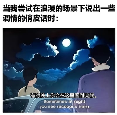 这张梗图展示了一个浪漫的夜晚场景，一对男女站在车旁仰望满月，上方文字写着'当我尝试在浪漫的场景下说出一些调情的俏皮话时:'，而实际对话却是'有时晚上你会在这里看到浣熊。'，形成幽默的反差效果。