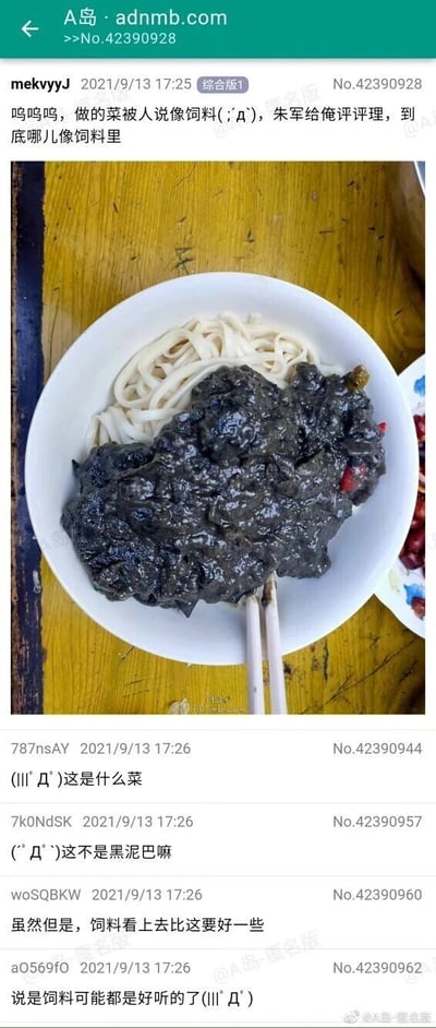 这是A岛匿名版综合板块的一则帖子截图，2021年9月13日17:25，用户mekvyyJ发布帖子，配图是一碗白面条上盖着一团深黑色的糊状菜肴，楼主带着委屈的语气表示自己做的菜被人说像饲料，请求网友评理，询问这道菜到底哪里像饲料。随后多名网友在评论区互动吐槽：网友787nsAY好奇询问这是什么菜，7k0NdSK调侃这道菜看起来像黑泥巴，woSQBKW直言饲料看上去都比这道菜要好，aO569fO更是表示说这道菜像饲料都是比较委婉的说法，评论区充满了对这道“翻车”料理的调侃。