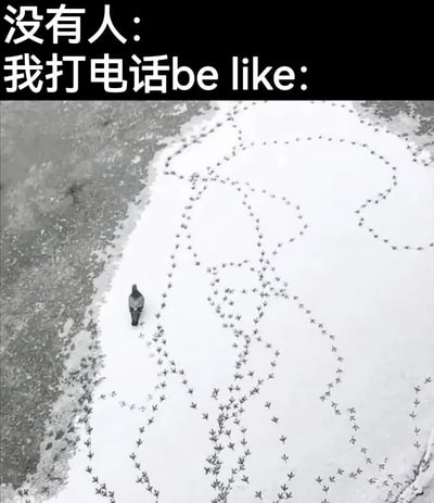 这是一张幽默梗图，上方文字写着'没有人：我打电话be like:'，下方是一张黑白照片，显示一只鸽子站在雪地上，周围是极其复杂、如同迷宫般的脚印图案。图片通过夸张对比，幽默地表现了人们打电话时可能过度思考、内心活动复杂的状态。