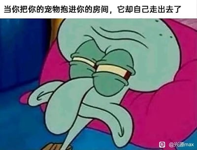 这是一张以动画《海绵宝宝》里章鱼哥的截图为基础制作的梗图，图片上方配有文字“当你把你的宠物抱进你的房间，它却自己走出去了”。图中的章鱼哥瘫靠在粉色靠垫上，眉头紧皱，眼皮耷拉，嘴角下撇，满脸沮丧失落的神情，完美契合了养宠人满心欢喜想和宠物亲近，却被宠物拒绝、冷落时那种难过、失落又有点被打击的心情，能够精准戳中养宠人的共情点，用卡通角色的夸张表情放大了这种情绪。