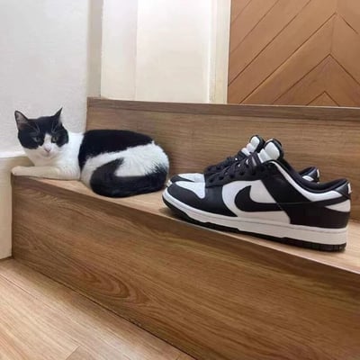 一只黑白相间的奶牛猫正悠闲地侧卧在木质台阶上，它的毛色与旁边一双黑白配色的耐克Dunk Low运动鞋形成了奇妙的呼应。猫咪眼神平静，前爪自然伸展，与名牌球鞋并排摆放的画面充满生活趣味，意外撞色的设计感让人会心一笑。