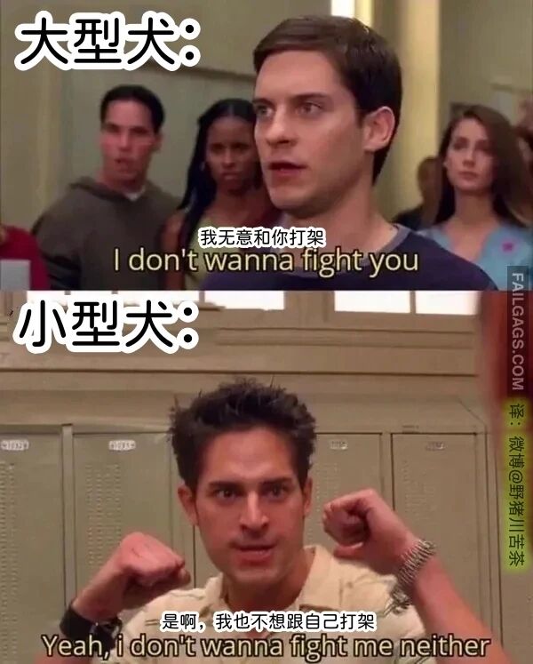彼得·帕克（蜘蛛侠）