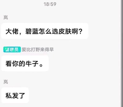 这是一张聊天记录截图梗图，展示了一段关于游戏《碧蓝航线》皮肤选择的对话。用户"岚"询问"大佬，碧蓝怎么选皮肤啊？"，而管理员"爱比打野来得早"则用粗俗语言"看你的牛子"进行回复，最后用户"岚"回应"私发了"。整段对话利用游戏攻略咨询的场景制造了低俗幽默效果。
