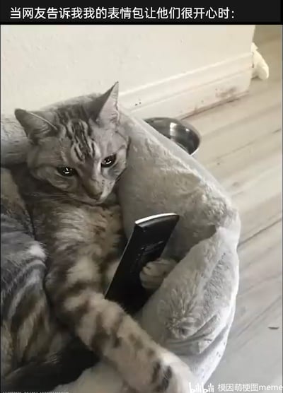 图片展示了一只灰色斑纹猫咪窝在柔软的灰色猫窝里，两只爪子握着一个类似手机的黑色物品，眼神低垂，神情看起来既感动又略带羞涩。图片顶部配有文字“当网友告诉我我的表情包让他们很开心时：”，将猫咪拟人化，用来表现表情包创作者在得知自己的作品给网友带来快乐后，内心那种欣慰、感动又有点不好意思的细腻情绪，用可爱的猫咪形象放大了这种柔软的心情，十分贴合创作者收到正向反馈时的真实心境。