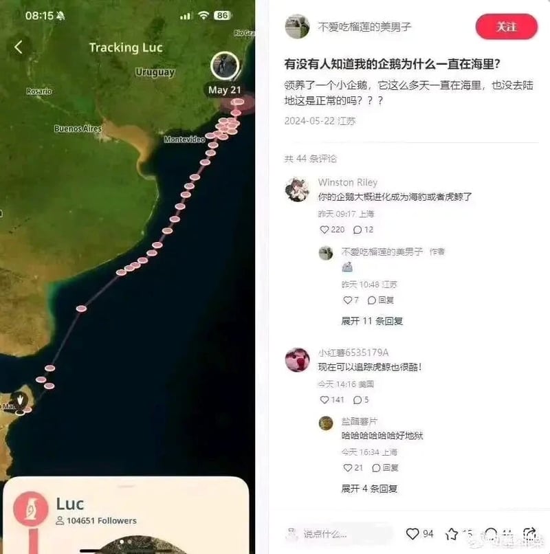 小红书普通用户
