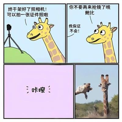 四格漫画讲述了长颈鹿鲍比的拍照趣事。第一格中长颈鹿开心地看着三脚架上的相机说："终于架好了照相机！可以拍一张证件照啦"。第二格中另一个角色提醒鲍比："你不要再来抢镜了哦 鲍比"，鲍比则笑着保证："我保证不会！"。第三格是紫色背景配"咔嚓"的拍照音效文字。第四格突然转为真实长颈鹿照片，显示一只长颈鹿正从另一只长颈鹿身后探出头来抢镜，形成有趣的反差效果。