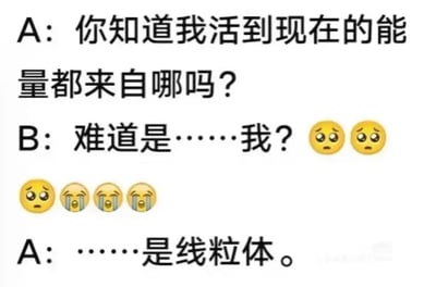 这是一张网络流行的搞笑梗图，整体为白底黑字搭配小黄脸emoji的样式，内容为两段对话：A询问B自己活到现在的能量来源是什么，B自作多情猜测是自己，还搭配了委屈、流泪的emoji烘托暧昧期待的情绪，最终A给出的答案是为细胞供能的细胞器线粒体，用生物常识打破了暧昧氛围，反差感拉满形成笑点。