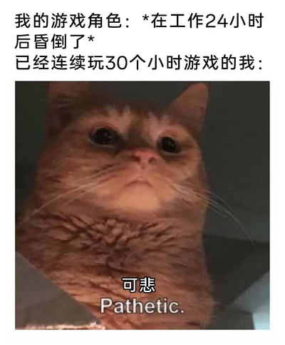 这是一张充满反差感的搞笑游戏主题表情包，上方文字构建了一个趣味场景：游戏内的角色仅仅工作24小时就昏倒，而现实中已经连续熬夜玩了30小时游戏的玩家，却用一张带着鄙夷、嫌弃神态的橘猫表情包，配上“可悲 Pathetic.”的文字来吐槽游戏角色。通过这种玩家自身的离谱状态和对游戏角色的吐槽形成强烈反差，精准地调侃了自己沉迷游戏、熬夜伤身却不自知的滑稽状态，充满自嘲意味，能引发众多游戏爱好者的共鸣。