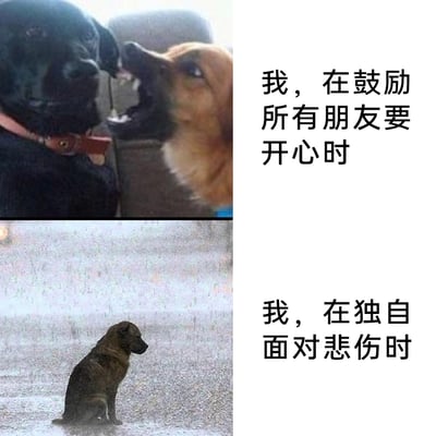 这是一张上下拼接的对比式梗图，上半部分呈现一只金毛犬张嘴对着黑色狗狗，配文“我，在鼓励所有朋友要开心时”，展现出热情外向、积极为他人加油鼓劲的状态；下半部分是一只狗狗独自静坐在瓢泼大雨中，配文“我，在独自面对悲伤时”，传递出孤独落寞、独自消化负面情绪的氛围。整张图精准刻画了部分人群“人前乐观开朗，人后独自emo”的情绪反差，戳中了当代年轻人习惯共情他人、却默默独自承受自身悲伤的情绪痛点，引发广泛共鸣。
