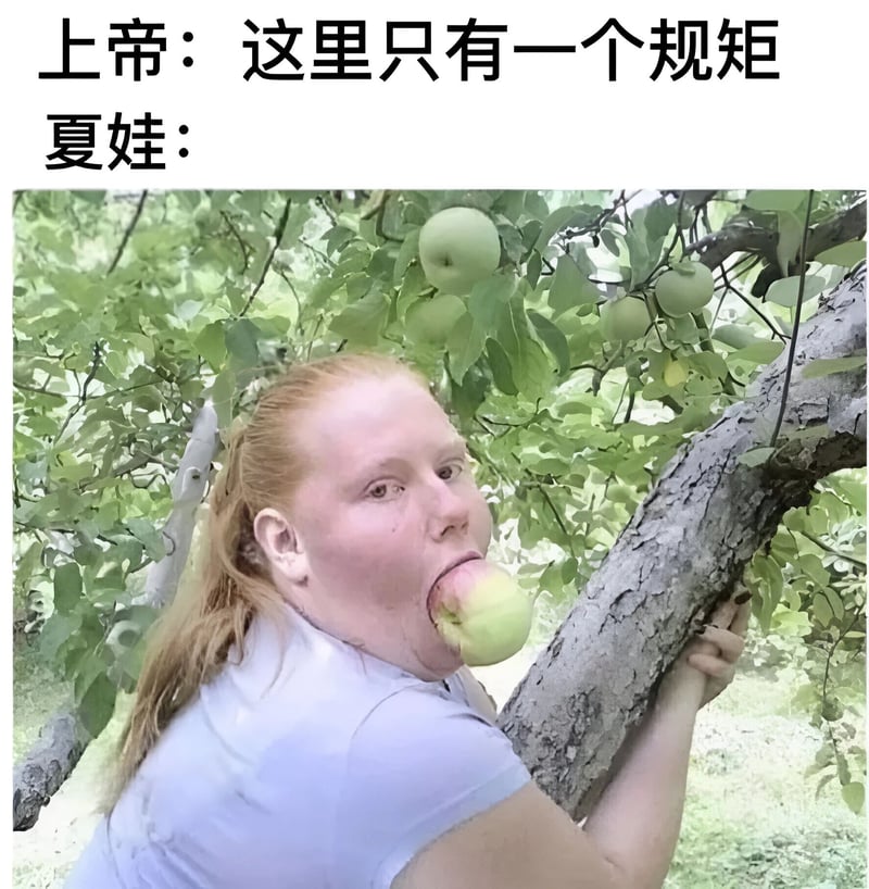 圣经故事