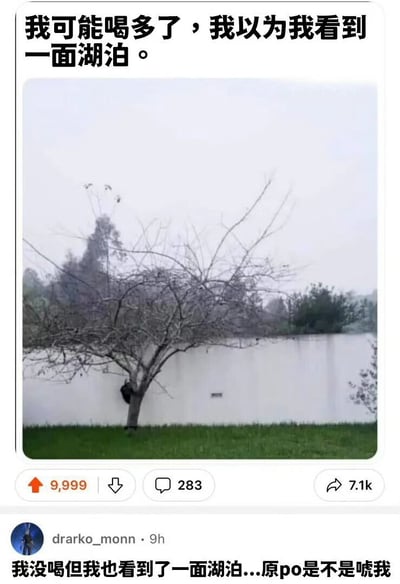 一张搞笑梗图，上方文字写着'我可能喝多了，我以为我看到一面湖泊。'，中间是一张雾天拍摄的白色墙壁照片，下方有评论'我没喝但我也看到了一面湖泊...原po是不是唬我'。这张图通过视觉错觉制造幽默效果，让读者也产生'看到湖泊'的错觉。