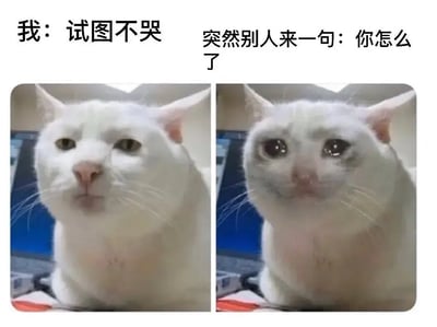 这张梗图分为左右两部分，画面中是一只表情低落的白猫。左边的猫神情努力镇定，右边的猫则泪流满面，仿佛刚刚忍不住哭了。上方的文字写着“我：试图不哭 突然别人来一句：你怎么了”，意为本来努力忍住情绪，但一句关心的话就让防线崩溃。常用于表达表面坚强但内心脆弱、被关心时突然情绪溃堤的场景，非常具有共鸣感和哭笑不得的夸张效果。

没有发现明显的双关或谐音梗，但整体氛围含有情感暗示。
