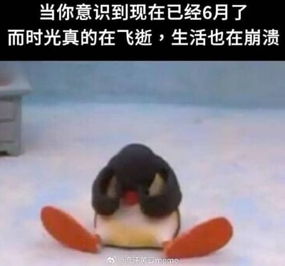 这是一张采用顶配底文格式的表情包，顶部为黑底白字配文，内容是“当你意识到现在已经6月了 而时光真的在飞逝，生活也在崩溃”，下方是瑞士定格动画《企鹅家族》的主角PINGU的截图，它瘫坐在雪地之上，双脚大大分开，双手捂住脸部，呈现出沮丧崩溃的状态，与配文的情绪高度契合，图片底部带有微博用户水印，整体用来抒发人们到年中时感慨时间流逝过快、生活状态不如意的焦虑无奈情绪。