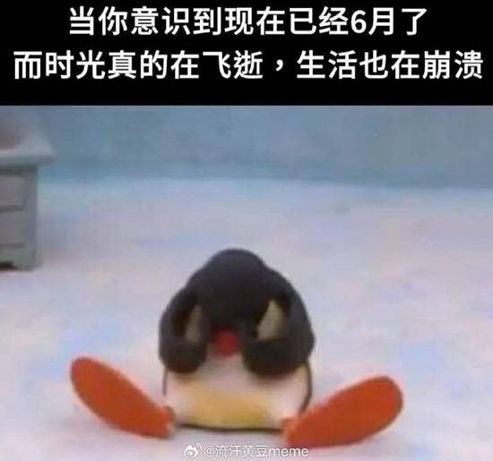 企鹅 (Pingu)