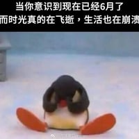 企鹅 (Pingu)