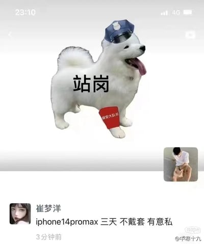 图片展示了一只戴着蓝色保安帽、左前腿戴着红色"保安大队长"袖章的萨摩耶犬，狗身上有"站岗"字样，表情开心吐着舌头。图片下方是用户"崔梦洋"的社交媒体发布内容，包含个人头像和文字"iphone14promax 三天 不戴套 有意私"。