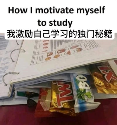 这是一张充满趣味的学习主题搞笑图，画面上方配有英文“How I motivate myself to study”和中文“我激励自己学习的独门秘籍”的文字，主体是一本翻开的活页笔记本，书页之间夹着多款零食包装，包括Twix巧克力等，用将零食藏在学习资料里、以零食作为学习奖励的方式，调侃了很多学习者靠美食来激励自己学习的真实状态，精准戳中了人们学习时需要“甜头”来坚持的心态，充满共鸣感和搞笑氛围。