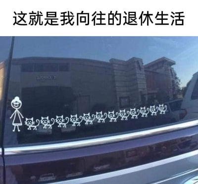 图片上方配有文字“这就是我向往的退休生活”，下方是贴在汽车后窗的趣味贴纸：一个简笔画风格的面带微笑的老年女性，身后跟着一长串共12只同样是简笔画风格的猫咪。这张图用夸张的画面，生动表达了许多人对退休生活的美好憧憬——不用再为工作奔波，能和自己喜爱的猫咪相伴，过着悠闲自在、被可爱宠物围绕的惬意生活，戳中了不少猫咪爱好者和渴望轻松退休生活的人的心声。