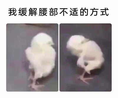 这是一张左右对比的图文类趣味梗图，顶部配有醒目的文字标题“我缓解腰部不适的方式”。左侧图片中，一只白色的小鸡身体前倾，头部埋向身体区域，呈现出蜷缩的状态；右侧图片里，这只小鸡将身体大幅度向后弯折，双腿伸直撑在地面，模仿人类拉伸腰部、缓解酸痛的动作。图片通过拟人化的手法，用小鸡的搞笑姿态调侃人们在腰部不适时的拉伸行为，生动又形象，精准戳中了不少有腰部劳损困扰人群的日常体验，充满趣味性。