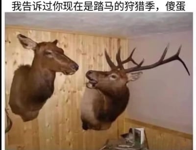 图片中展示了两个挂在木质墙壁上的鹿头标本，右侧鹿头张嘴似乎在对左侧鹿头说话，上方配有文字：'我告诉过你现在是踏马的狩猎季，傻蛋'，整体营造出一种幽默嘲讽的氛围，通过动物标本拟人化的对话制造笑点。