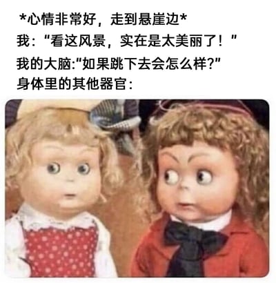 这是一张图文结合的搞笑梗图，上方文字构建了一个生活化的场景：“我”怀着好心情走到悬崖边，由衷感叹眼前风景的美丽，此时大脑却突然跳出一个无厘头的危险脑洞——“如果跳下去会怎么样？”。下方配图是两个复古风格的陶瓷玩偶，左边玩偶眼睛瞪大、嘴巴微张，满脸写着震惊；右边玩偶眉头紧皱，眼睛斜向一侧，露出错愕又不敢相信的神情，精准地将身体其他器官听到大脑这个危险想法时的震惊、抗拒与无语拟人化地表现出来，生动调侃了人们日常生活中偶尔会冒出的奇怪、无厘头的危险念头，极易引发网友共鸣，充满轻松搞笑的吐槽氛围。