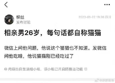 社交平台用户“柳丝”发布讨论，分享自己遇到的相亲趣事：一位26岁的相亲男生在微信聊天时，每句话都以“猫猫”自称，比如被问问题时回复“这个猫猫也不知道”，被问吃什么时回复“猫猫刚已经吃过了”。这种可爱的自称和26岁男生的身份形成强烈反差感，引发趣味讨论。