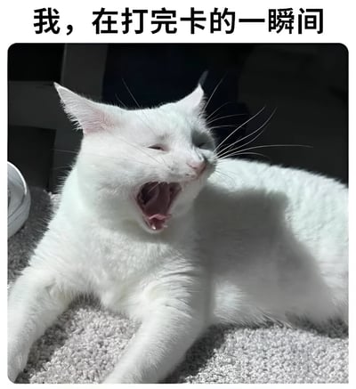 图片上方有黑色文字“我，在打完卡的一瞬间”，下方是一只白色猫咪躺在灰色地毯上，身体舒展，嘴巴大张打哈欠，眼睛微眯，表情显得极度放松惬意。通过猫咪打哈欠的慵懒姿态，幽默地比喻人们在完成打卡（通常指下班或结束工作任务）后的瞬间释放与放松状态，引发职场人士的共鸣。