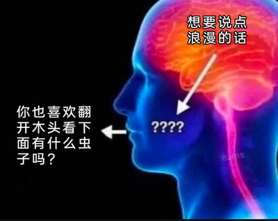 这是一张搞笑反差梗图，采用头部透视图的形式，展现了“内心想法与实际发言严重错位”的滑稽场景：大脑区域标注着“想要说点浪漫的话”，代表发言者的内心诉求，但嘴部实际输出的却是一句完全不搭边的奇怪发言“你也喜欢翻开木头看下面有什么虫子吗？”，箭头和问号清晰标注出想法与表达的割裂感，制造出强烈的反差笑点，图中颈部右侧还有“eams”的水印。