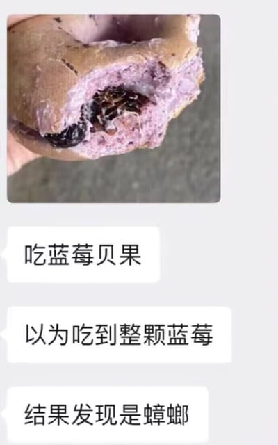 图片展示了一个被咬过的蓝莓贝果特写，贝果外皮呈浅棕色，内部为紫色馅料，本应是蓝莓的黑色物体实则是一只蟑螂。下方配有三行文字：“吃蓝莓贝果”“以为吃到整颗蓝莓”“结果发现是蟑螂”，形成强烈的意外与恶心感，揭示了食品安全问题中的糟糕体验。