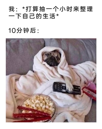 这是一张极具共鸣感的图文混排搞笑梗图，上方文字分为两部分，第一部分是“我：*打算抽一个小时来整理一下自己的生活*”，表达了想要改变生活状态、做出规划的决心；第二部分是“10分钟后：”，下方配图是一只巴哥犬裹着白色毯子窝在灰色沙发上，一只爪子搭在电视遥控器上，旁边摆放着一碗爆米花和零食，狗狗眼神慵懒，呈现出完全放松、摆烂的状态。这张图精准还原了很多人立下提升自我的flag后，很快就放弃目标、陷入舒适躺平状态的真实日常，用可爱的宠物形象放大了这种拖延、缺乏执行力的反差感，引发网友的强烈共鸣。