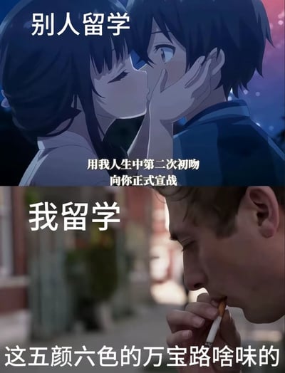 这是一张上下对比风格的梗图，通过幽默方式展现理想与现实中的留学生活差异。上图为动漫风格的浪漫场景，一对情侣即将接吻，配文'别人留学'和'用我人生中第二次初吻向你正式宣战'；下图为现实场景，一名男子正在吸烟，配文'我留学'和'这五颜六色的万宝路啥味的'。通过夸张对比制造笑点，反映了理想中浪漫的留学生活与现实中平凡日常的差距。