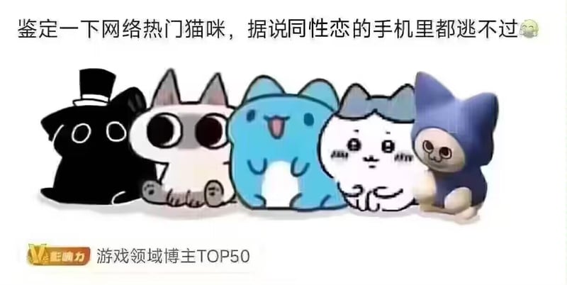 《斯普拉遁3》