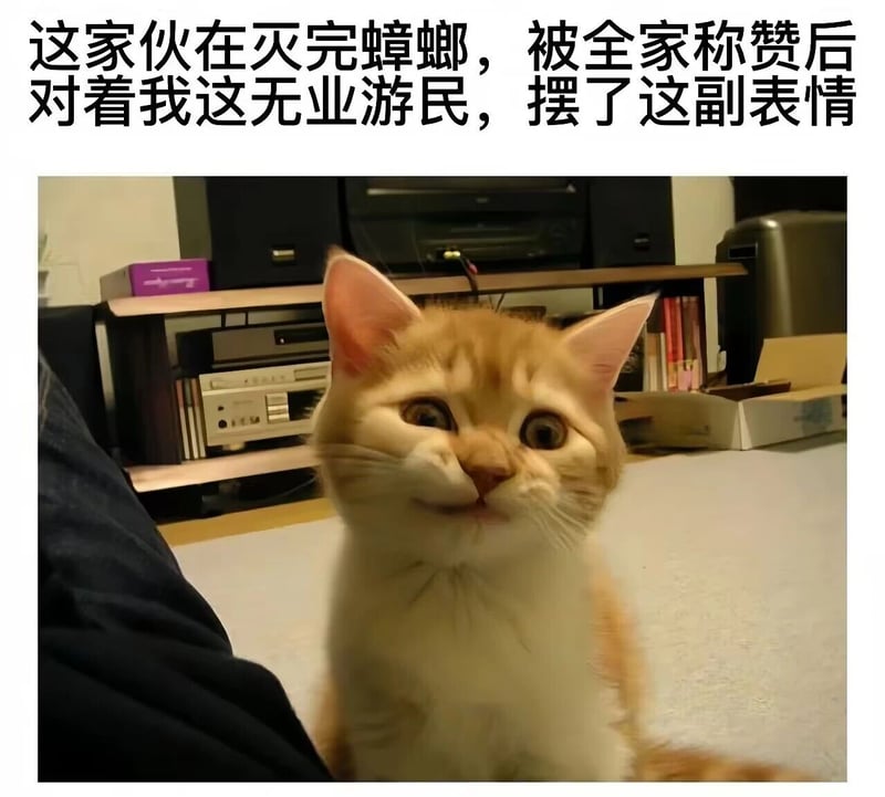 灭蟑功臣（拟人化设定）