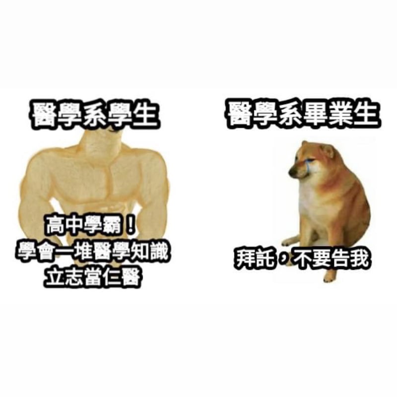 狗