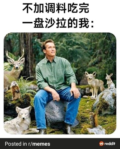 这是一张用于调侃健康饮食的搞笑梗图，图片上方配有文字“不加调料吃完一盘沙拉的我：”，下方是经过P图改编的图片：阿诺德·施瓦辛格坐在林间的石头上，神态悠然自得，面带微笑看向侧上方，双手自然放在腿上，他的周围环绕着鹿、土拨鼠、郊狼、野兔等多种野生动物，仿佛成为了自然的中心，被动物们簇拥。这张图用施瓦辛格如同“自然之王”的姿态，来调侃自己不加调料吃完淡味沙拉后，感觉自己像完全融入自然的食草动物一样，带有强烈的自我调侃幽默感，生动表现出人们吃无调料沙拉时那种强行适应健康饮食的有趣心态。