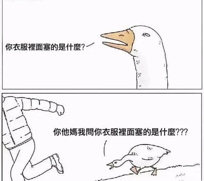 这是一幅由上下两格组成的连环卡通漫画，采用拟人化的创作手法制造笑点。第一格中，一只表情带着疑惑与不满的大鹅抬头质问，配文“你衣服裡面塞的是什麼？”；第二格画面里，一名穿着厚羽绒服的人正转身快速逃跑，大鹅则伸长脖子、迈开脚步愤怒地追在人身后，配文升级为带着强烈情绪的“你他媽我問你衣服裡面塞的是什麼？？？”。漫画的核心笑点在于，大鹅拟人化地将羽绒服的鹅绒填充物误解为同类被塞进衣服里，因此产生愤怒的追赶行为，用荒诞的逻辑营造出冷幽默的效果。