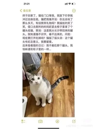 这是一张手机备忘录的屏幕截图，采用图文混排的形式，上方是一段拟人化的趣味文字内容，下方搭配一张实拍猫咪照片。文字内容讲述了主人外出多日回家后，在家门口等待的猫咪向主人索要礼物，主人尴尬之余从柜子里拿了一个罐头，谎称是从长沙带回来的纪念款，猫咪表示要留着不吃；之后主人偷看猫咪的日记，发现猫咪其实是不敢吃这个罐头，害怕它和柜子里的罐头味道一样，戳破了主人的小谎言。下方的照片里，一只灰白相间的猫咪睁着圆眼睛蹲坐在木质地板上，神态无辜可爱，和文字里猫咪的“小心机”形成反差感，整体内容通过拟人化的手法制造幽默效果，调侃主人的小谎言。