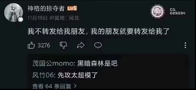 这是一张社交媒体截图，展示了用户“神格的掠夺者”（Lv5，IP属地河北）于11月19日发布的帖子。帖子内容幽默地写道：“我不转发给我朋友，我的朋友就要转发给我了”，引发朋友间转发循环的调侃。帖子获得3276个点赞，下方有两条评论：“茂国公momo”评论“黑暗森林是吧”（引用刘慈欣《三体》中的“黑暗森林法则”，暗示转发行为如同先下手为强），“风竹06”评论“先攻太超模了”（游戏术语，指抢先行动优势过大），进一步强化了调侃氛围。