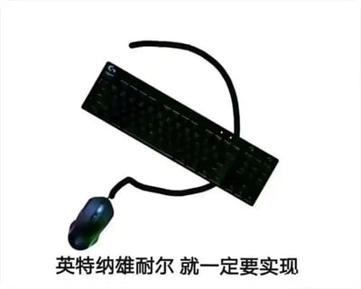 这是一张具有创意寓意的静态梗图，画面主体是日常使用的有线键盘与有线鼠标，二者的连接线被刻意摆放成了代表共产主义的镰刀锤子标志性造型，下方配有《国际歌》中的经典歌词“英特纳雄耐尔 就一定要实现”。创作者通过将普通电脑外设与具有特殊象征意义的符号、经典歌词结合，用生活化的物品构建出带有理想信念色彩的内容，把严肃的主题以贴近日常的形式呈现，传递出对相关理想的认同与信念。