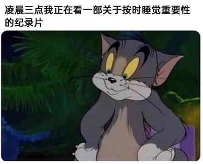 这是一张图文混排的幽默梗图，上方配有文字“凌晨三点我正在看一部关于按时睡觉重要性的纪录片”，下方是经典动画《猫和老鼠》中的角色汤姆猫的截图，汤姆猫双手叉腰，表情狡黠自得。图片的核心笑点在于行为与内容的强烈矛盾：在本该按时睡觉的凌晨三点，却在观看强调按时睡觉重要性的纪录片，用这种讽刺感调侃了当代人明知熬夜有害却依旧熬夜的普遍现状，充满了自嘲的幽默感。