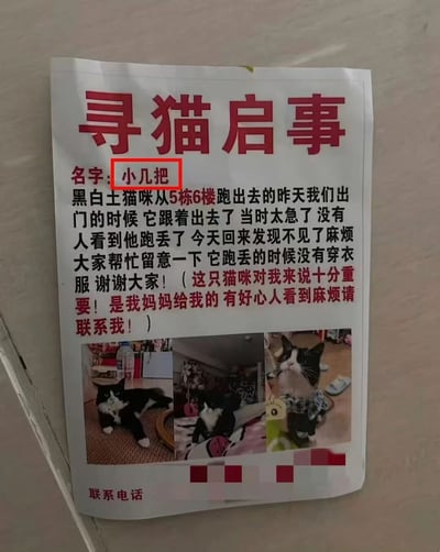 一张寻猫启事海报，标题为红色大字“寻猫启事”。海报中写着猫咪名字叫“小几把”，是一只黑白土猫，从5栋6楼跑出，丢失时未穿衣服。海报包含三张猫咪照片，并说明这只猫对失主十分重要，是妈妈给的，希望好心人看到后联系。

特别注意：猫咪名字“小几把”是中文粗俗俚语，具有强烈的不雅含义，在此作为猫咪名字使用显得非常突兀和不恰当，可能是失主无心之失或故意为之，成为该启事的争议点。